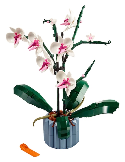 Icons Orquídeas 10311 Botanical Collection 1