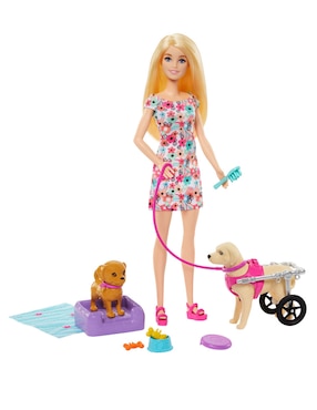 Set Muñeca Barbie Paseo Perrito En Silla De Ruedas