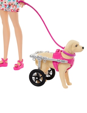 Set muñeca Barbie paseo perrito en silla de ruedas