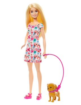Set muñeca Barbie paseo perrito en silla de ruedas