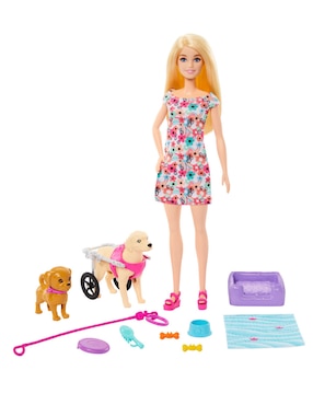 Set muñeca Barbie paseo perrito en silla de ruedas