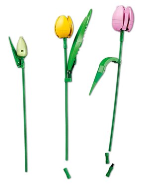 Lego Botanicals Ramo de Tulipanes 11501