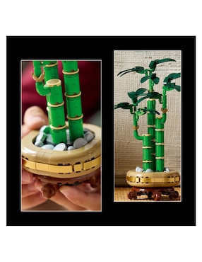 LEGO Bambú de la Suerte 10344 Botanicals