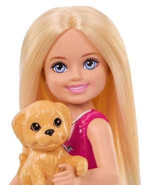 Muñeca mini Barbie Family & Friends