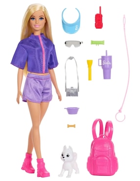 Muñeca Barbie Family & Friends