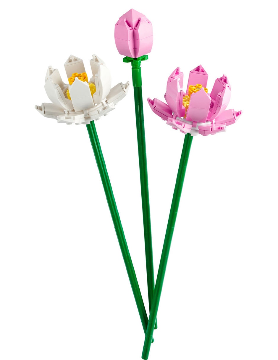 Flores de Loto 40647 3