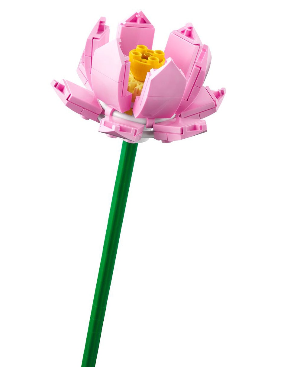 Flores de Loto 40647 7