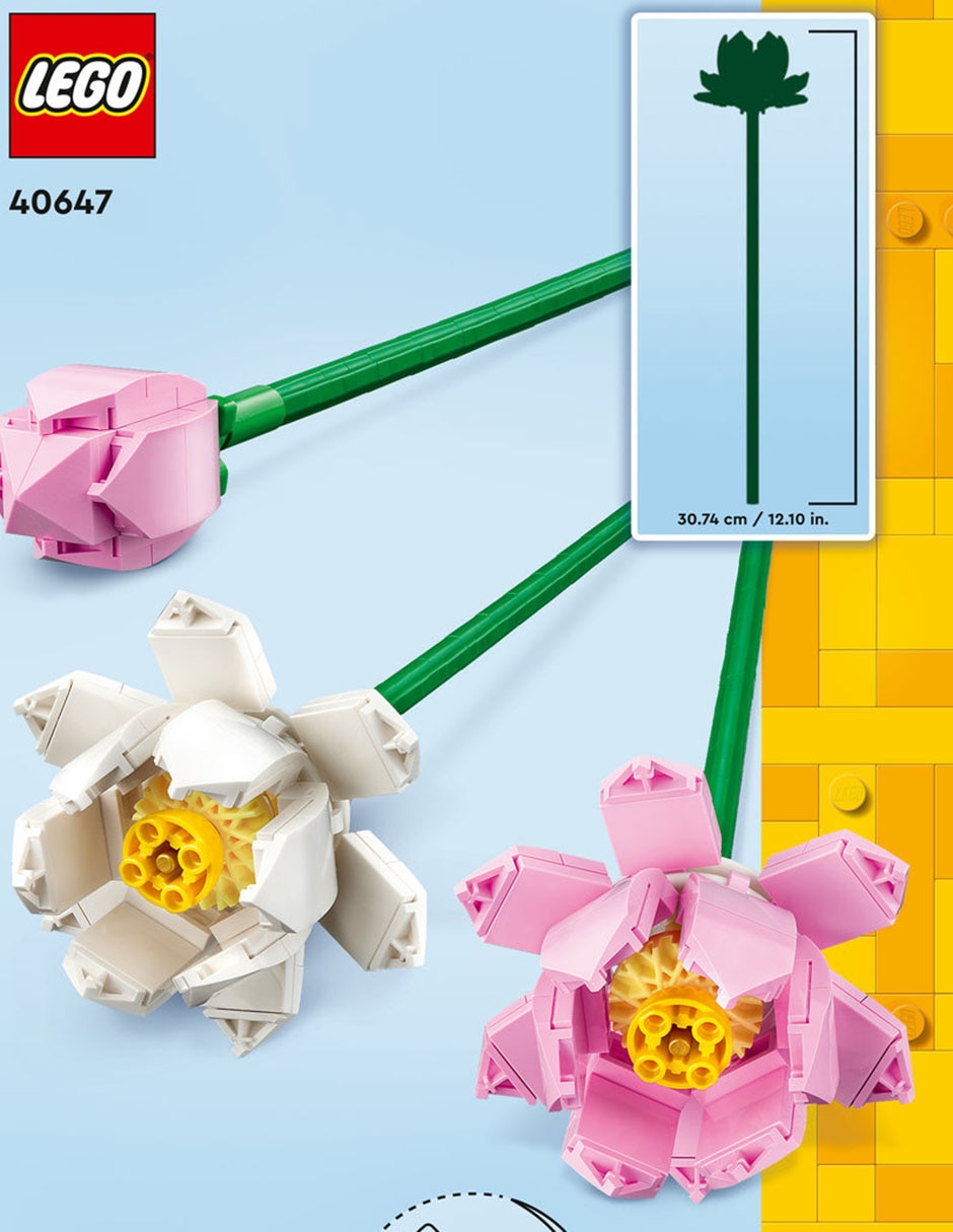 Flores de Loto 40647 10