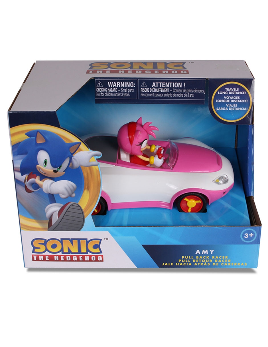 Vehículo de control remoto Amy Rose the Hedgehog 4