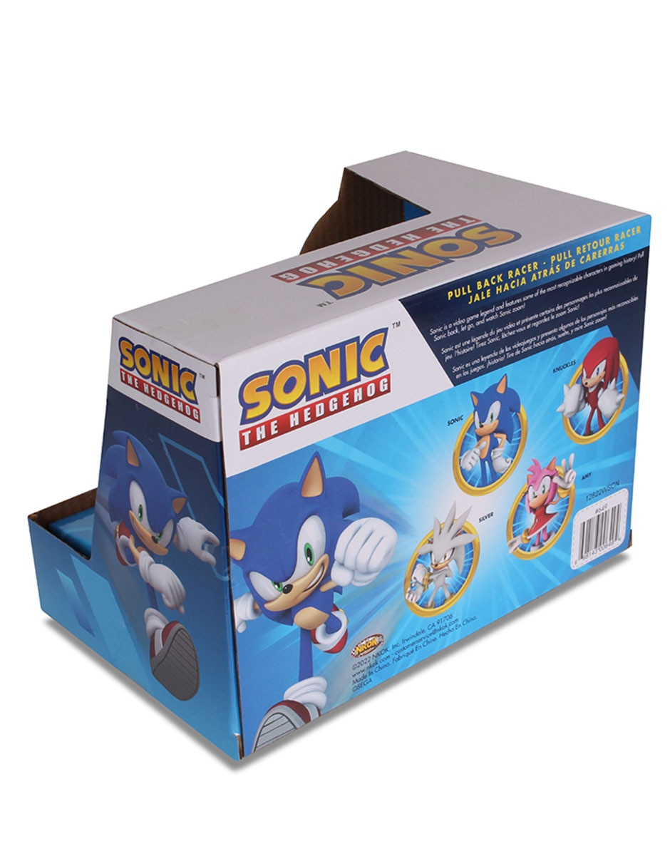 Vehículo de control remoto Amy Rose the Hedgehog 6