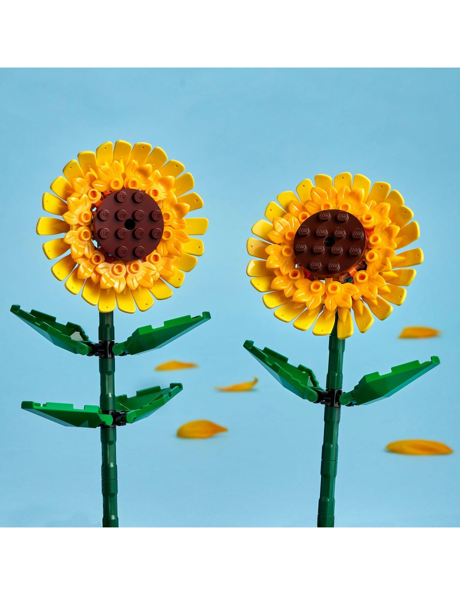 girasoles 40524 4