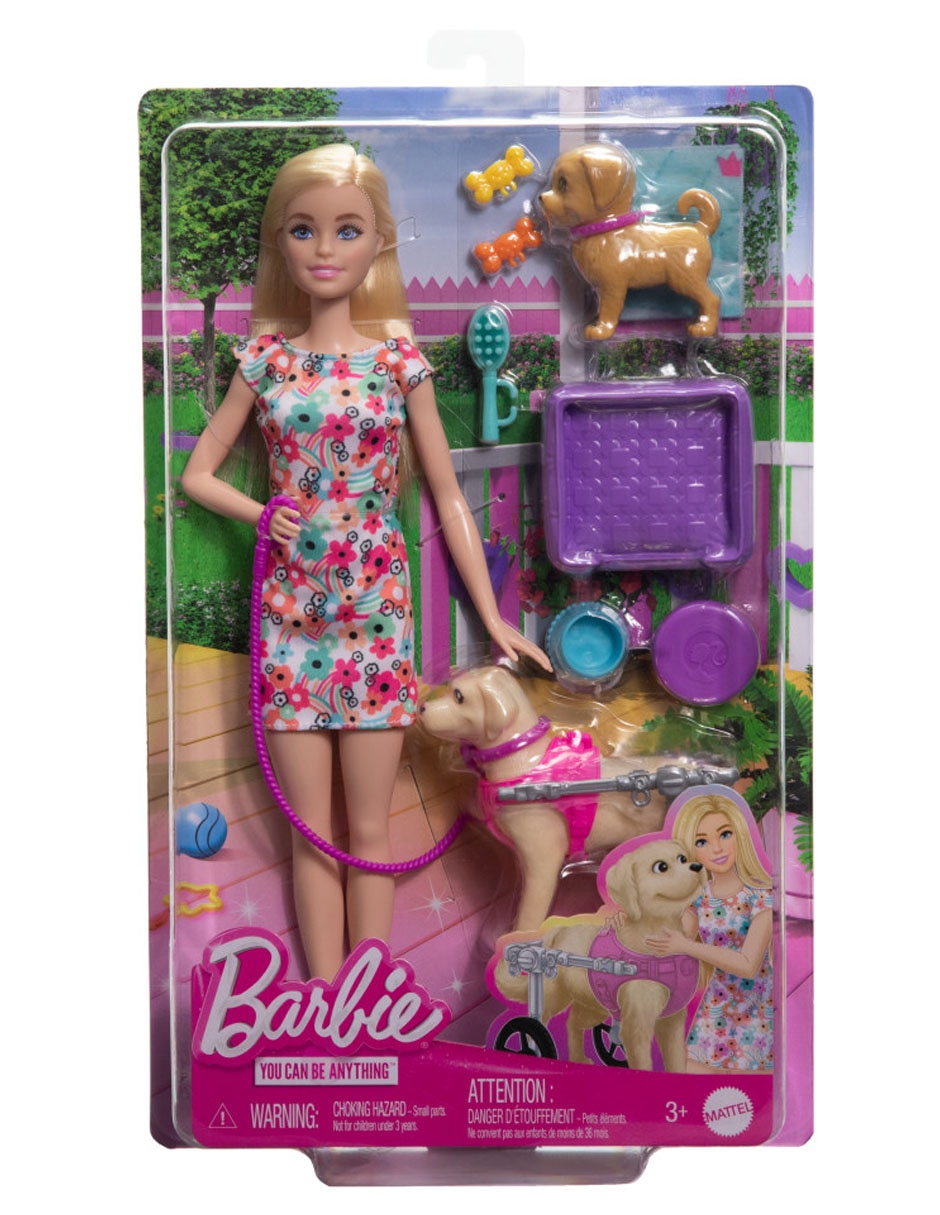 Set muñeca paseo perrito en silla de ruedas 6