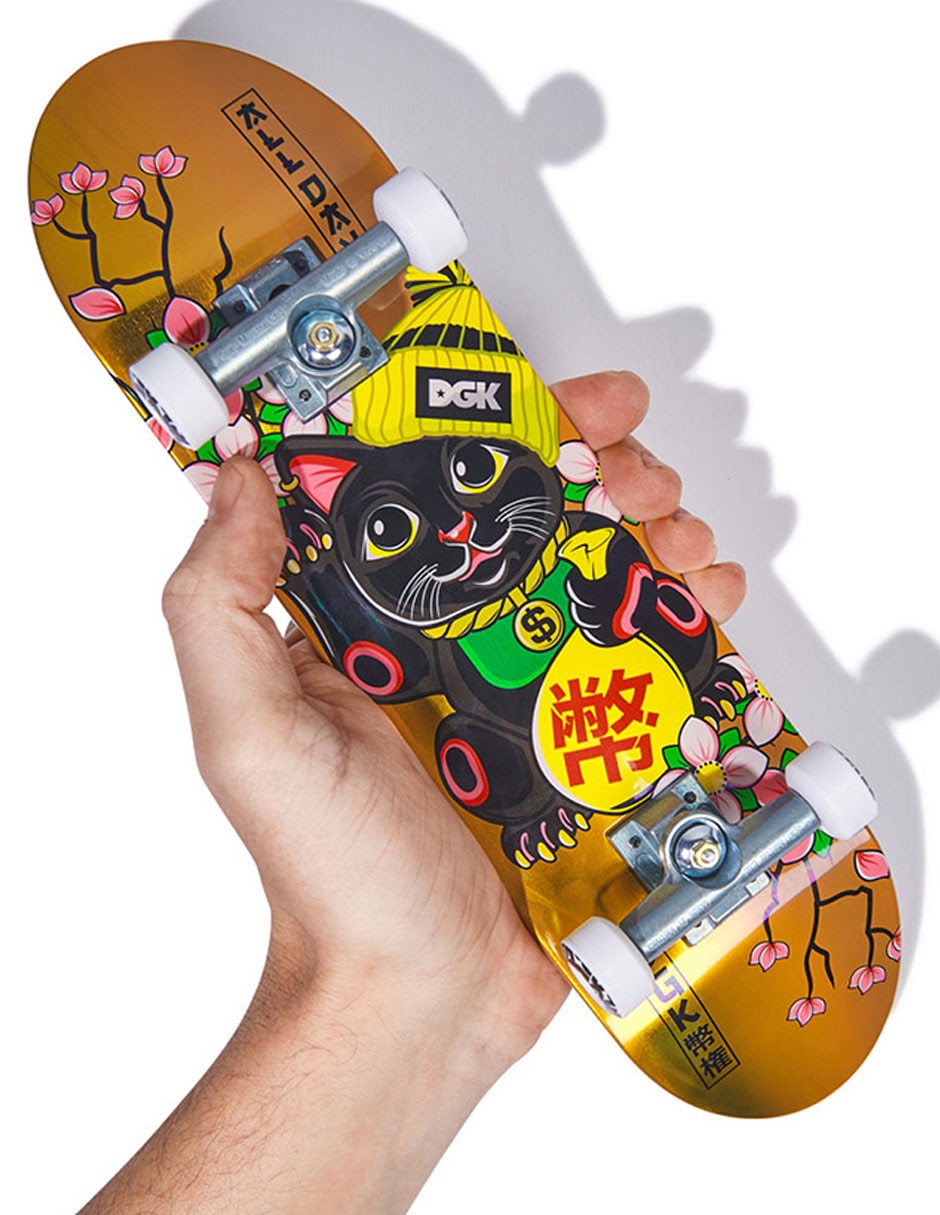 Patineta 2