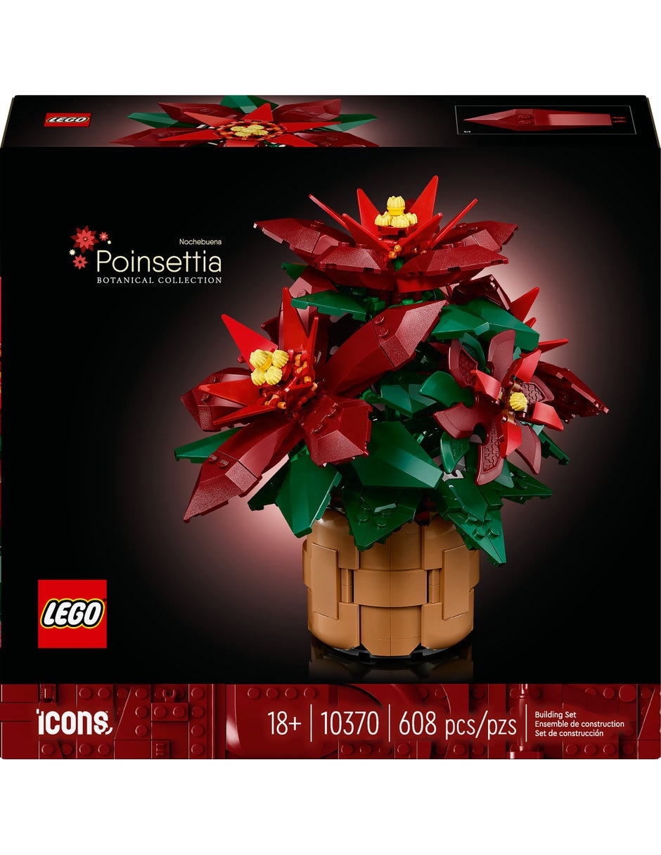 Noche Buena 10370 Botanicals 2