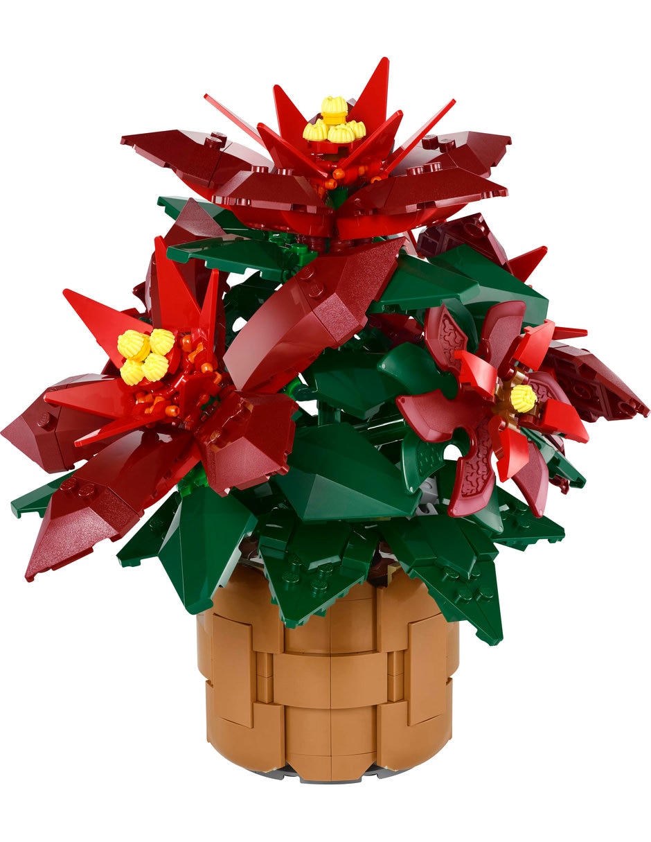 Noche Buena 10370 Botanicals 3