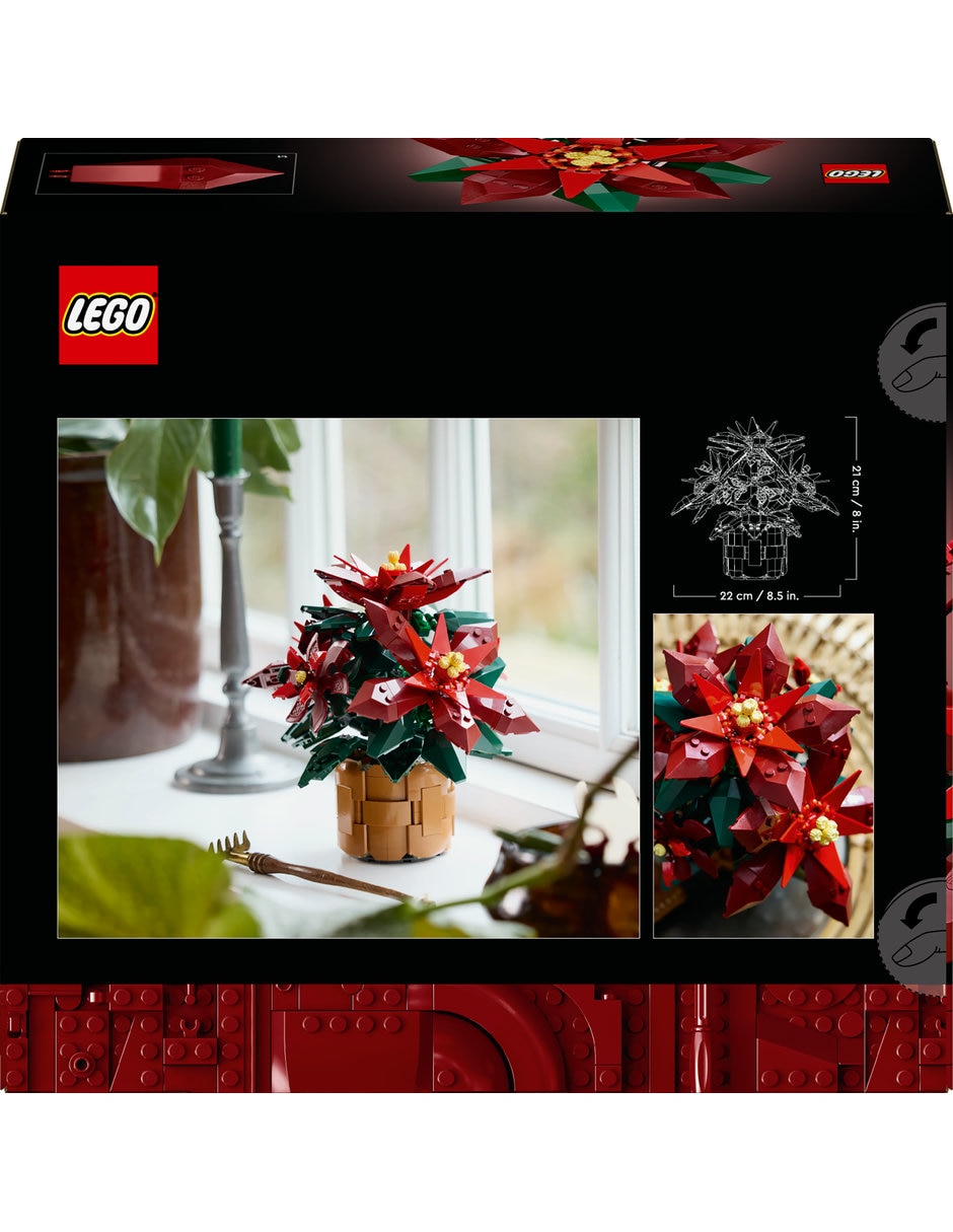 Noche Buena 10370 Botanicals 10