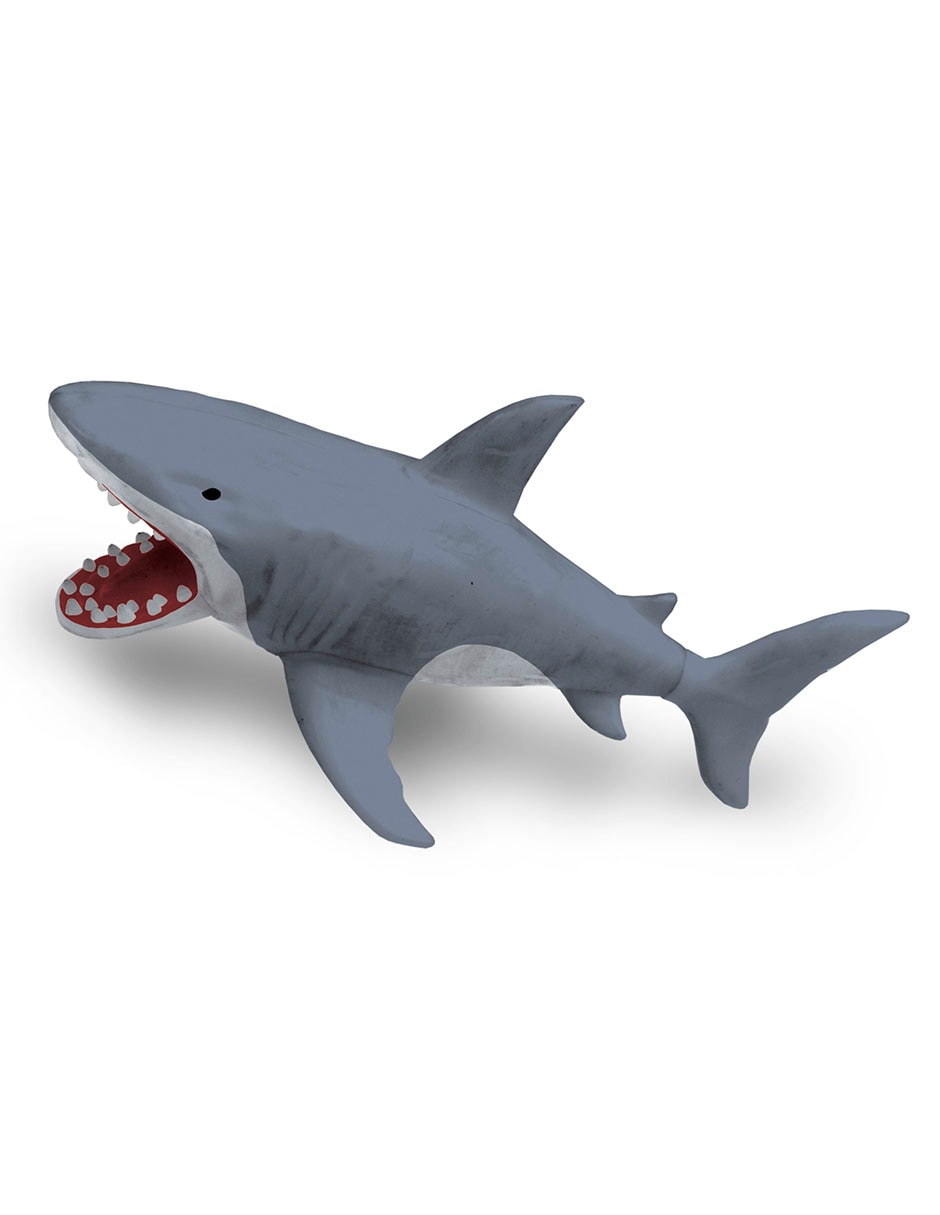 Barco shark attack 5