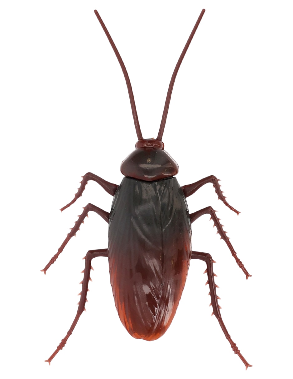 Figura de animales Crawling Cockroach