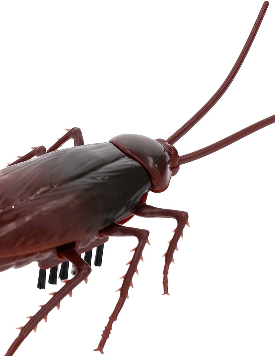 Figura de animales Crawling Cockroach 4