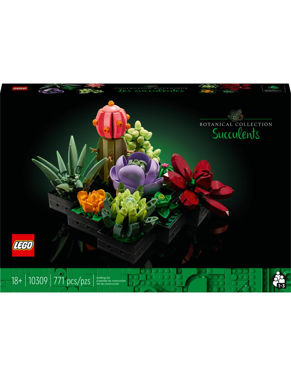 Suculentas 10309 Botanicals 6