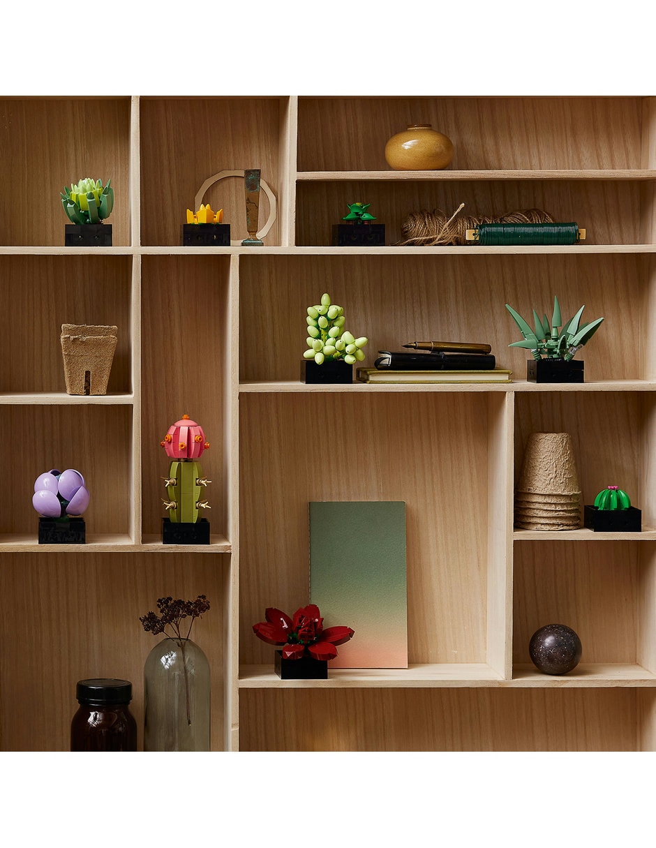 Suculentas 10309 Botanicals 3