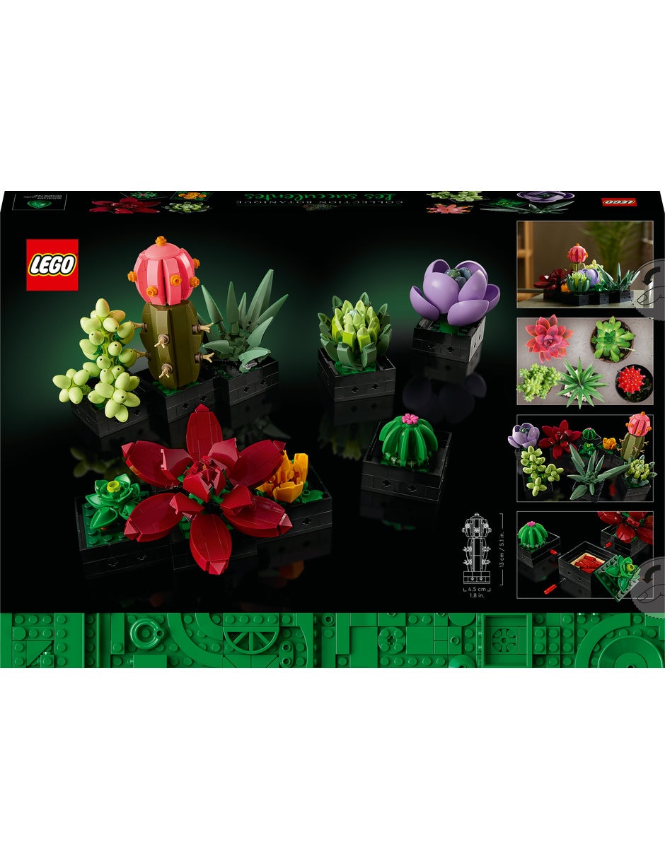 Suculentas 10309 Botanicals 2