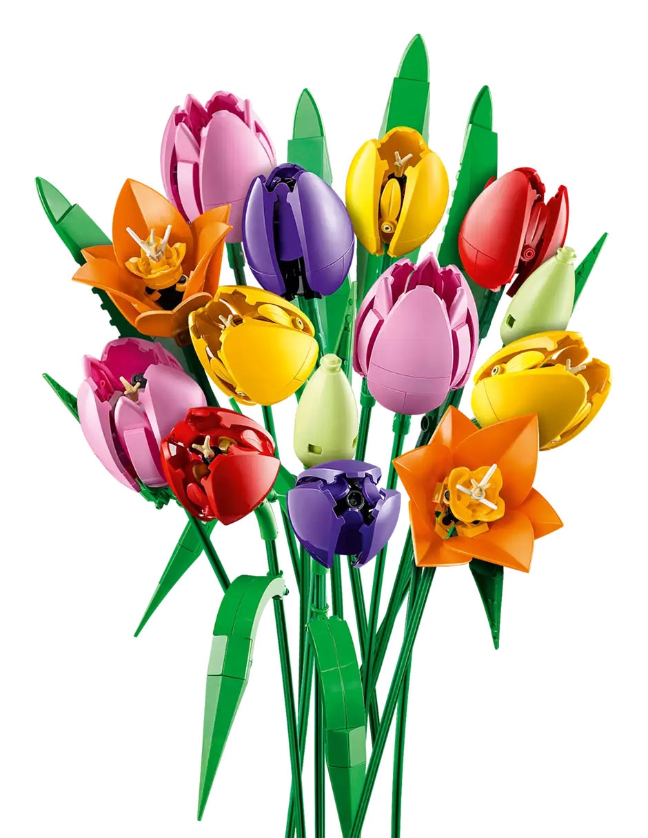 Botanicals Ramo de Tulipanes 11501 2