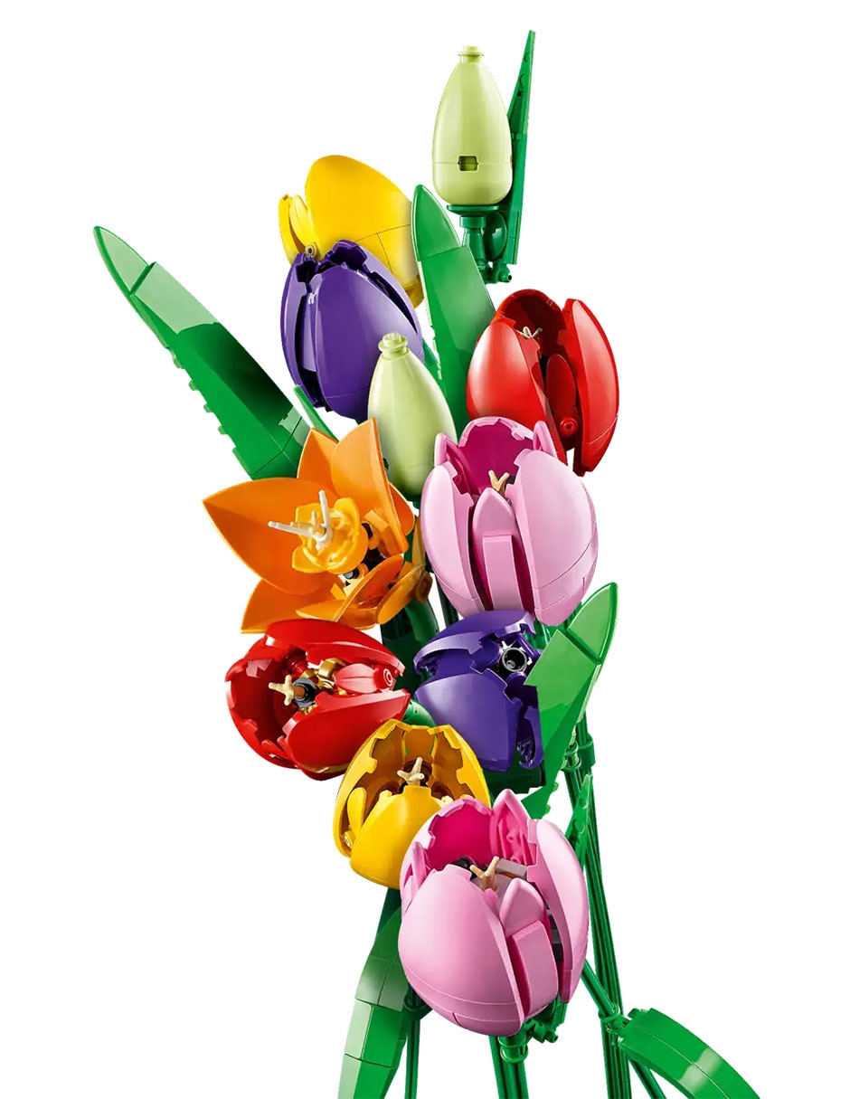 Botanicals Ramo de Tulipanes 11501 3