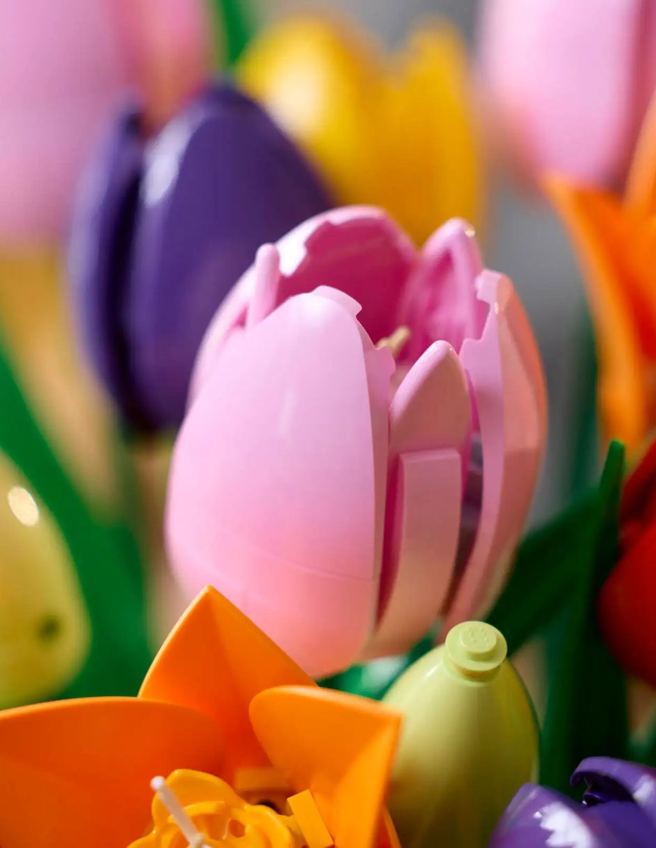 Botanicals Ramo de Tulipanes 11501 7