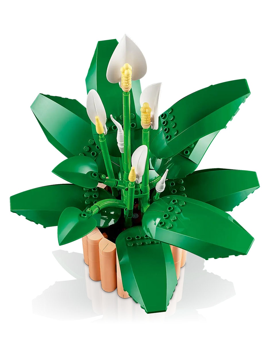 Botanicals Lirio de la Paz 11504 5