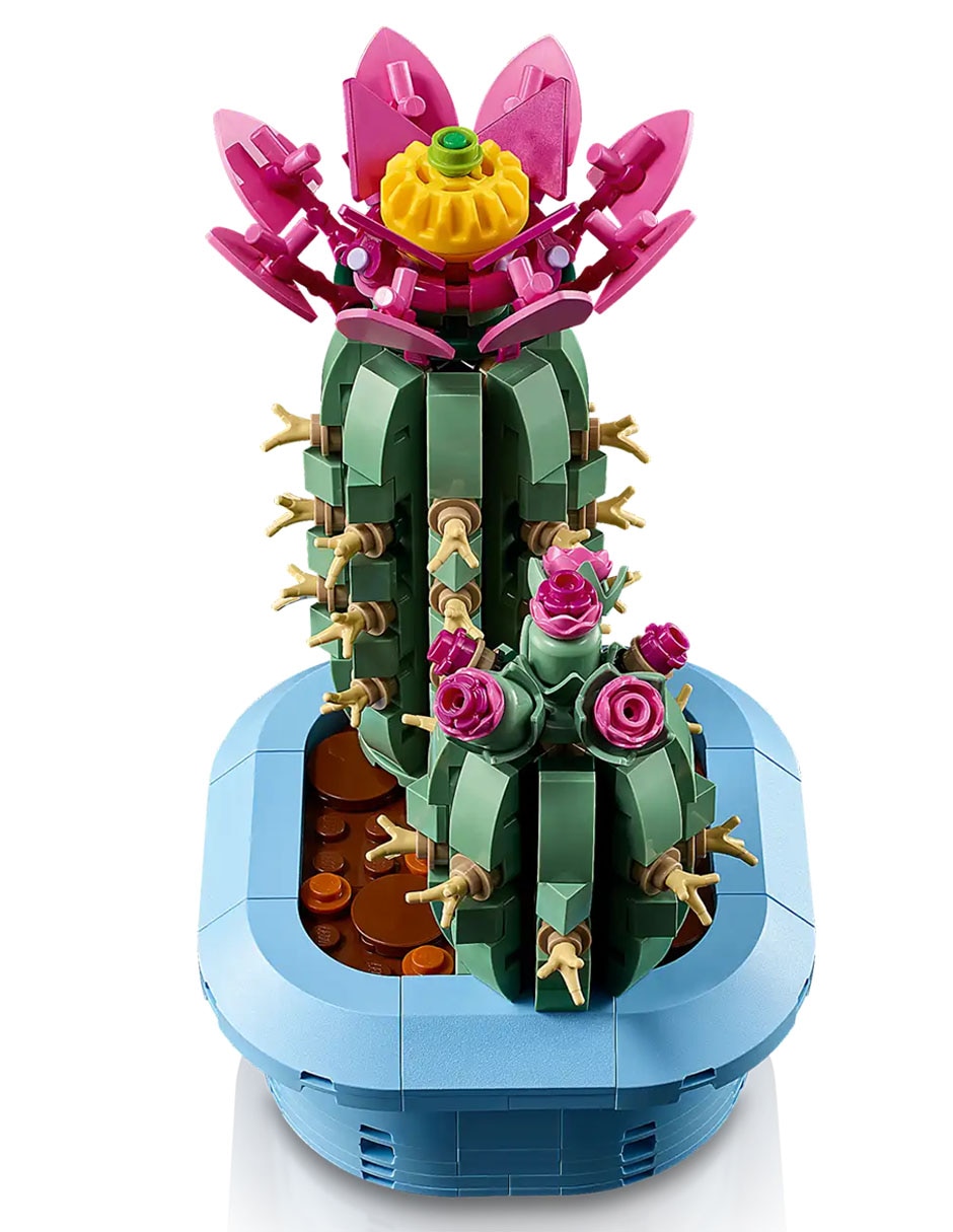 Botanicals cactus en flor 11509 2