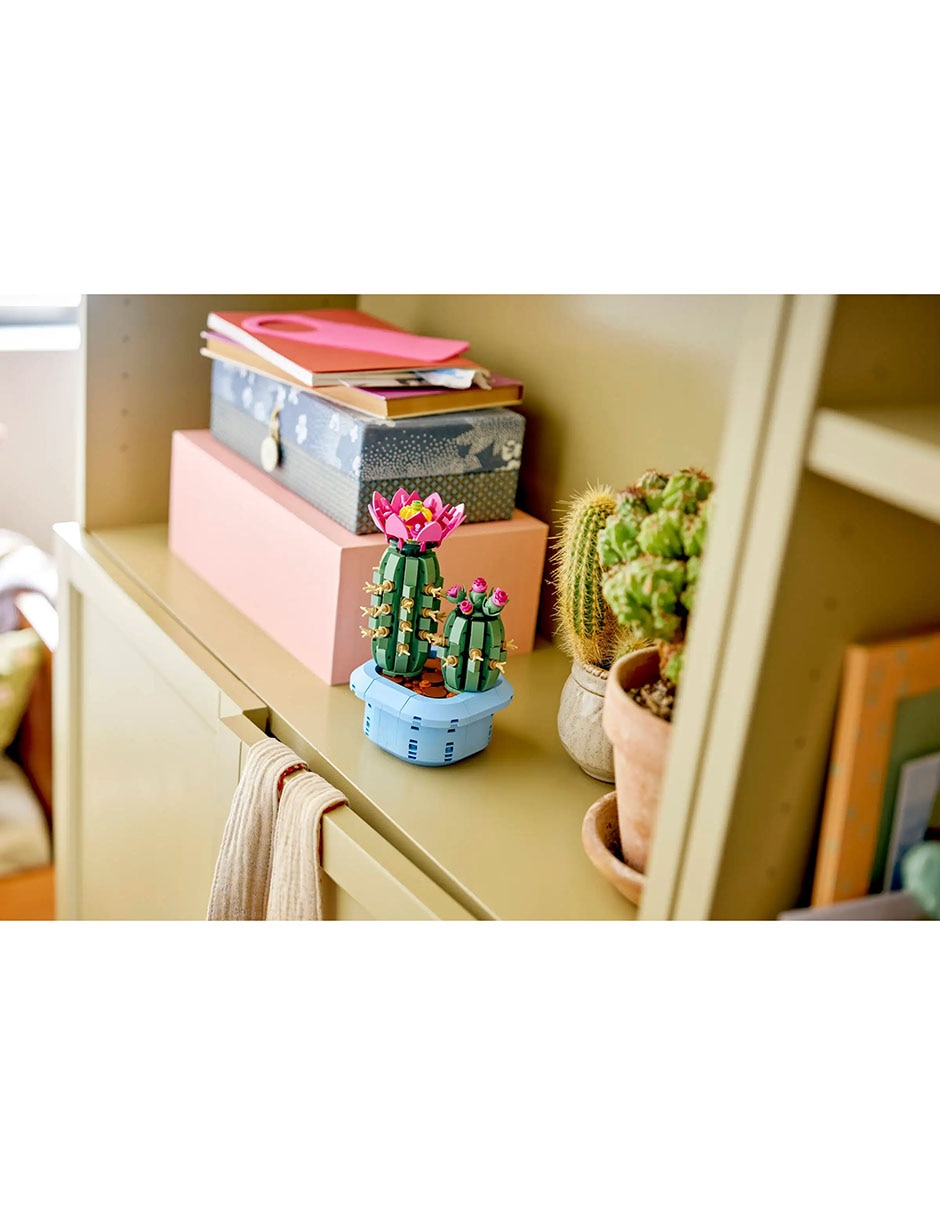 Botanicals cactus en flor 11509 6