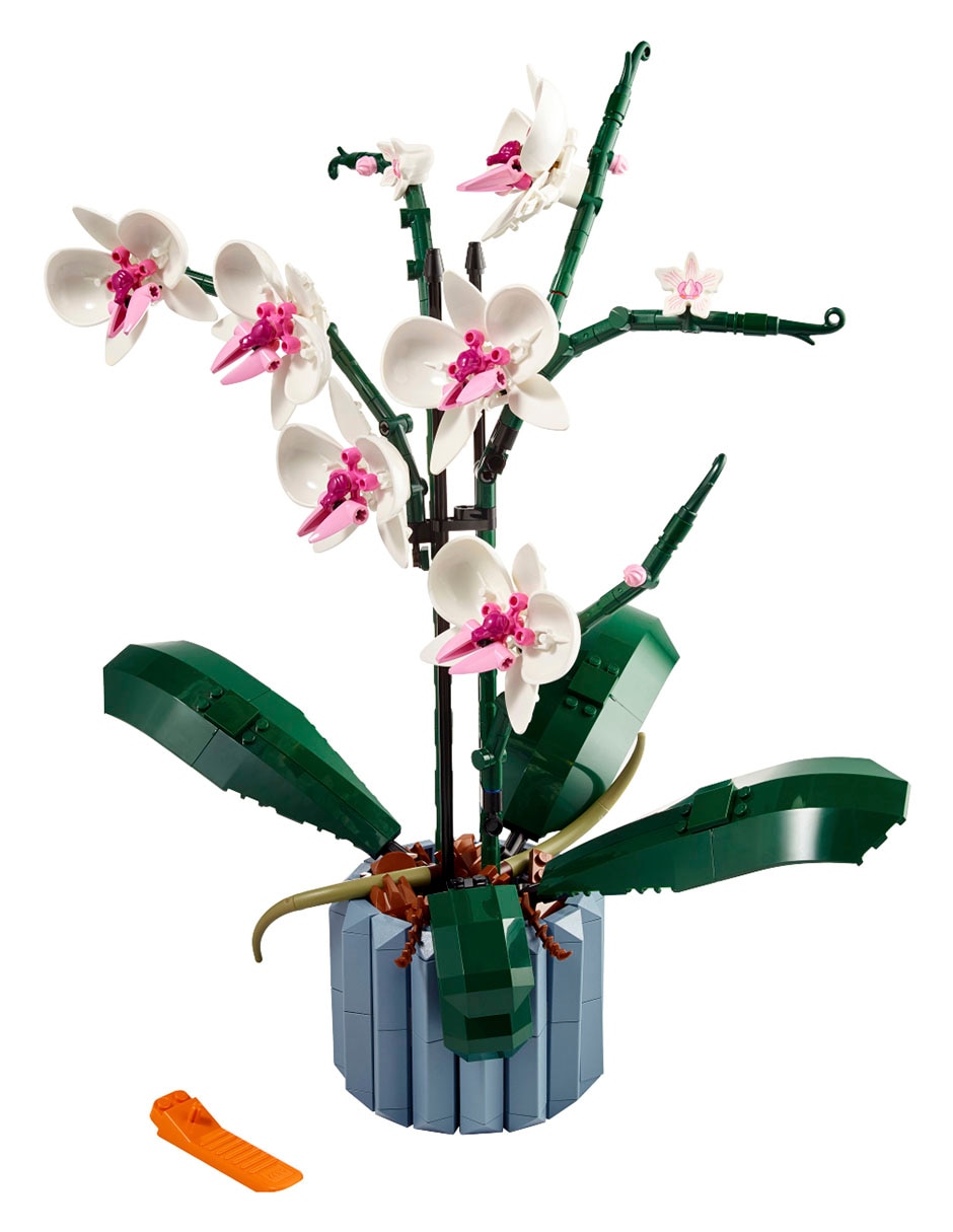 Icons Orquídeas 10311 Botanical Collection Icons Orquídeas 10311 Botanical Collection
