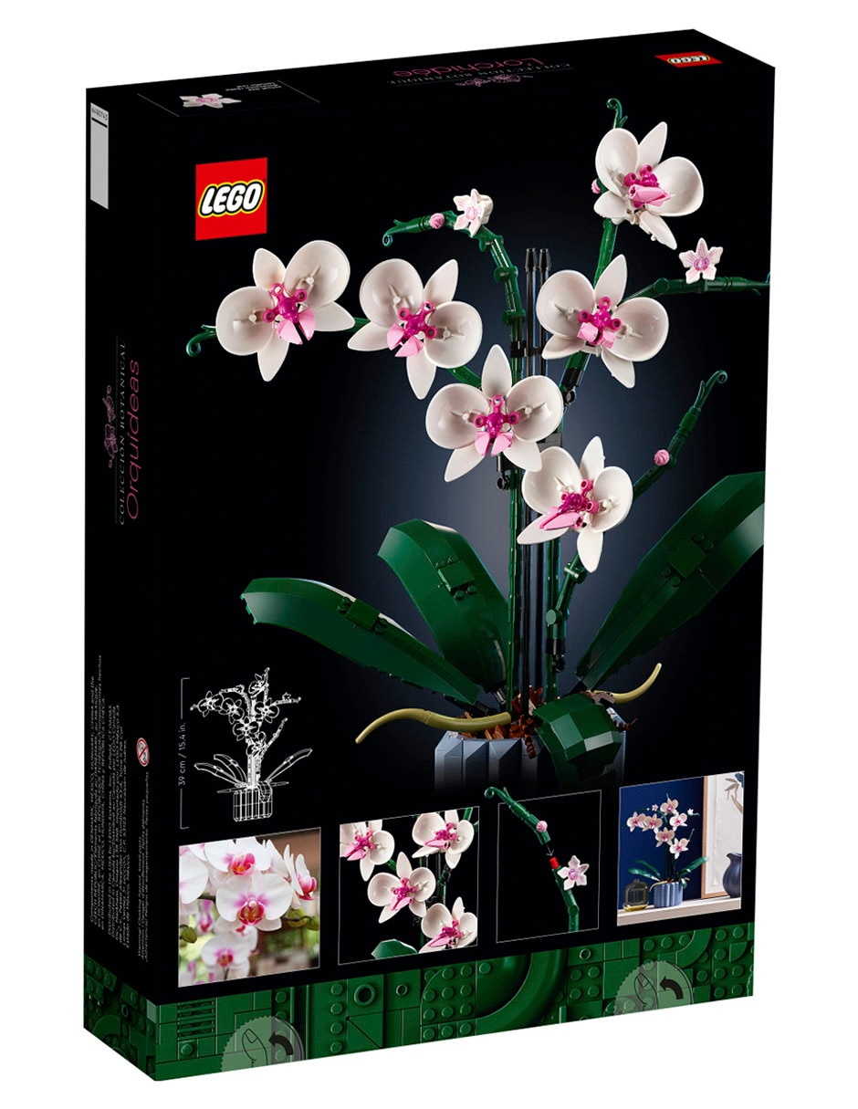 Icons Orquídeas 10311 Botanical Collection 2