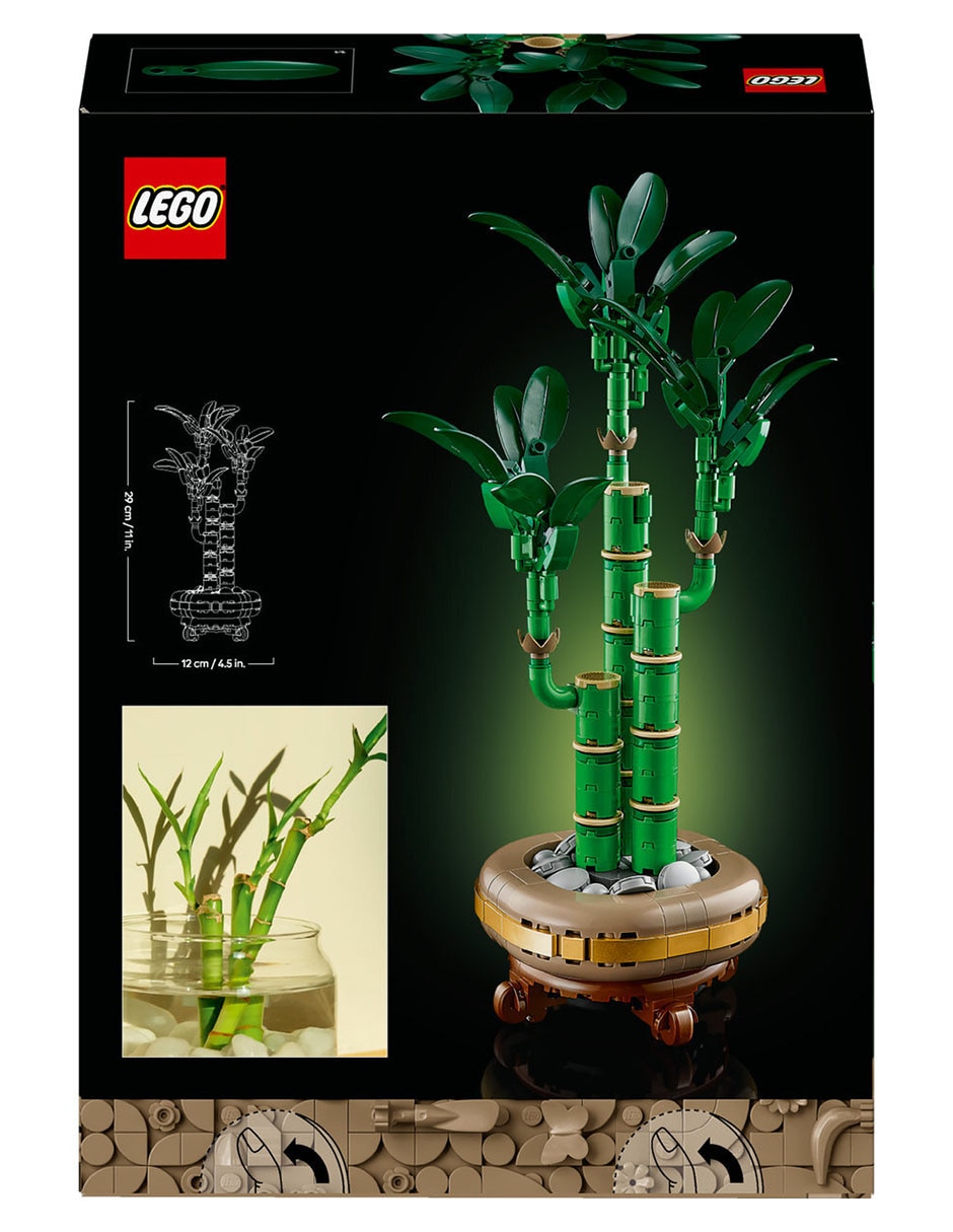 Bambú de la Suerte 10344 Botanicals 8